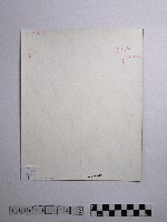 黃則修攝鬱金香2藏品圖，第2張