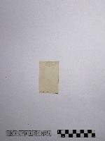 黃則修攝黎明之禮拜藏品圖，第2張