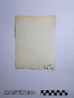 黃則修攝佛像藏品圖，第2張