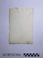 黃則修攝廟前的人群藏品圖，第2張