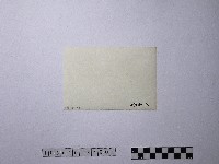 黃則修攝野柳地景藏品圖，第2張