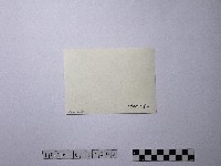 黃則修攝野柳地景藏品圖，第2張