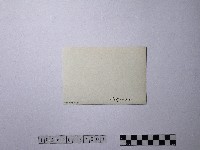 黃則修攝野柳地景藏品圖，第2張