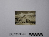 黃則修攝野柳地景藏品圖，第1張