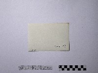 黃則修攝野柳地景藏品圖，第2張