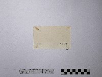 黃則修攝野柳地景藏品圖，第2張