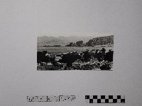 黃則修攝野柳地景藏品圖，第1張