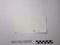 黃則修攝野柳地景藏品圖，第2張