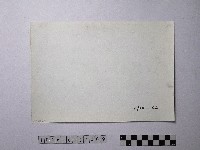 黃則修攝野柳地景藏品圖，第2張