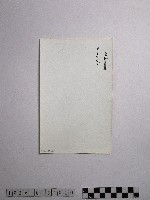 黃則修攝野柳地景風化紋藏品圖，第2張