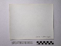 黃則修攝野柳地景藏品圖，第2張