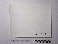 黃則修攝野柳地景藏品圖，第2張