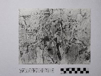 黃則修攝野柳地景風化紋藏品圖，第1張