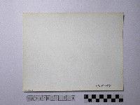 黃則修攝野柳地景風化紋藏品圖，第2張