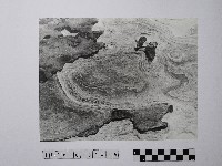 黃則修攝野柳地景風化紋藏品圖，第1張