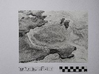 黃則修攝野柳地景風化紋藏品圖，第1張