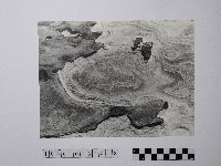 黃則修攝野柳地景風化紋藏品圖，第1張