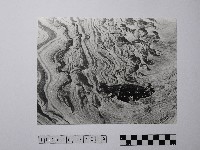 黃則修攝野柳地景風化紋藏品圖，第1張