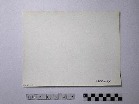 黃則修攝野柳地景風化紋藏品圖，第2張