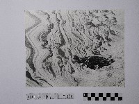 黃則修攝野柳地景風化紋藏品圖，第1張