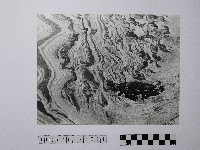 黃則修攝野柳地景風化紋藏品圖，第1張