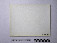 黃則修攝野柳地景風化紋藏品圖，第2張