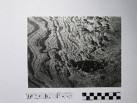 黃則修攝野柳地景風化紋藏品圖，第1張