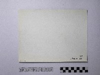 黃則修攝野柳地景風化紋藏品圖，第2張