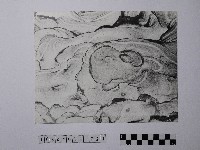 黃則修攝野柳地景風化紋藏品圖，第1張