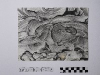 黃則修攝野柳地景風化紋藏品圖，第1張