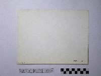 黃則修攝野柳地景風化紋藏品圖，第2張