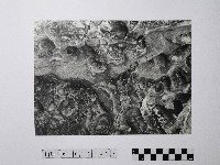 黃則修攝野柳地景風化紋藏品圖，第1張