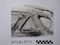 黃則修攝野柳地景藏品圖，第1張