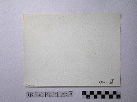 黃則修攝野柳地景藏品圖，第2張