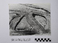 黃則修攝野柳地景藏品圖，第1張