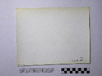 黃則修攝野柳地景藏品圖，第2張