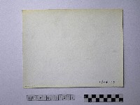 黃則修攝野柳地景藏品圖，第2張