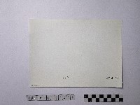 黃則修攝野柳地景藏品圖，第2張