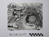 黃則修攝野柳地景藏品圖，第1張