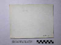 黃則修攝野柳地景藏品圖，第2張