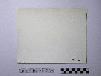 黃則修攝野柳地景藏品圖，第2張