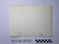 黃則修攝野柳地景藏品圖，第2張