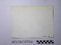 黃則修攝野柳地景藏品圖，第2張