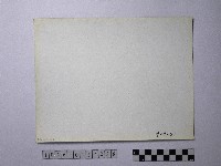 黃則修攝野柳地景藏品圖，第2張