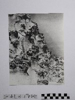 黃則修攝野柳地景藏品圖，第1張