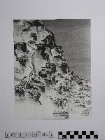 黃則修攝野柳地景藏品圖，第1張