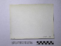 黃則修攝野柳地景藏品圖，第2張