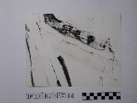 黃則修攝野柳地景藏品圖，第1張