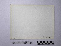 黃則修攝野柳地景藏品圖，第2張