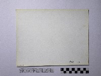 黃則修攝野柳地景藏品圖，第2張